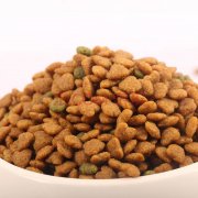 狗粮40斤装拉布拉多哈士奇金毛萨摩德牧马犬大型犬成犬通用型2