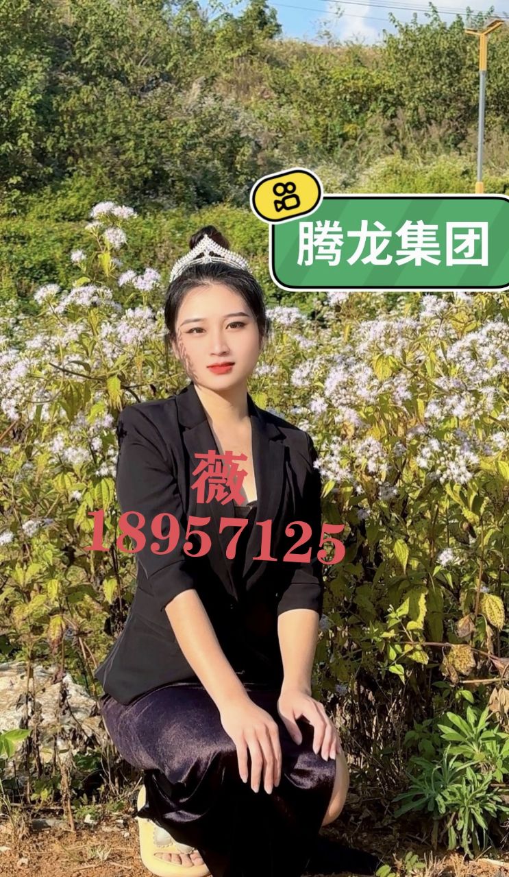 微18957125腾龙实体公司账号怎么登陆不了？